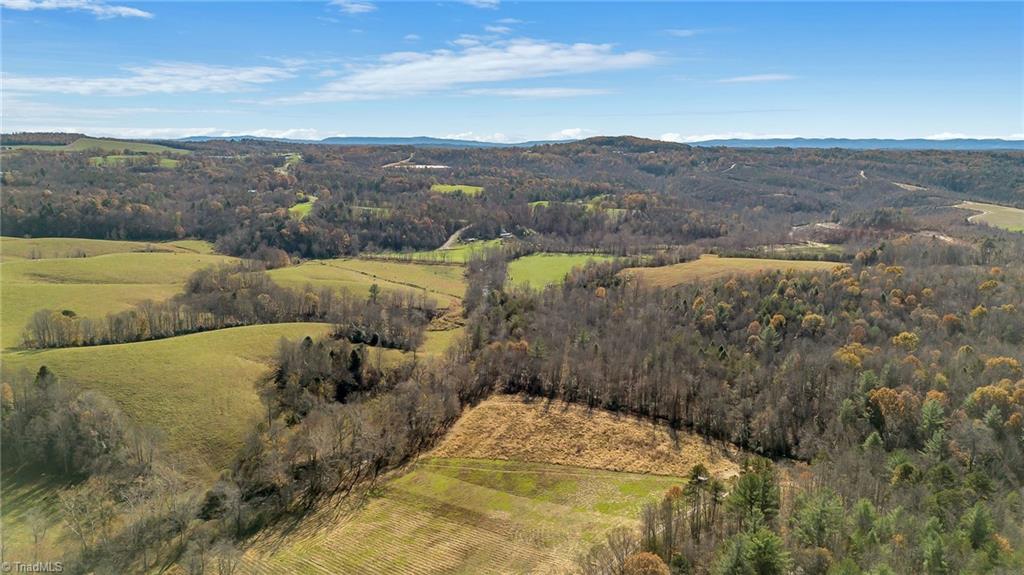 0 Austin Traphill Road Traphill, NC 28685 - Photo 9 of 30