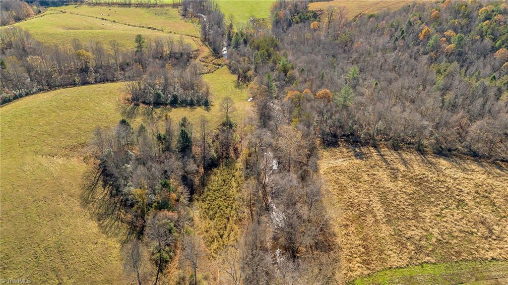 0 Austin Traphill Road Traphill, NC 28685 - Photo 10 of 30