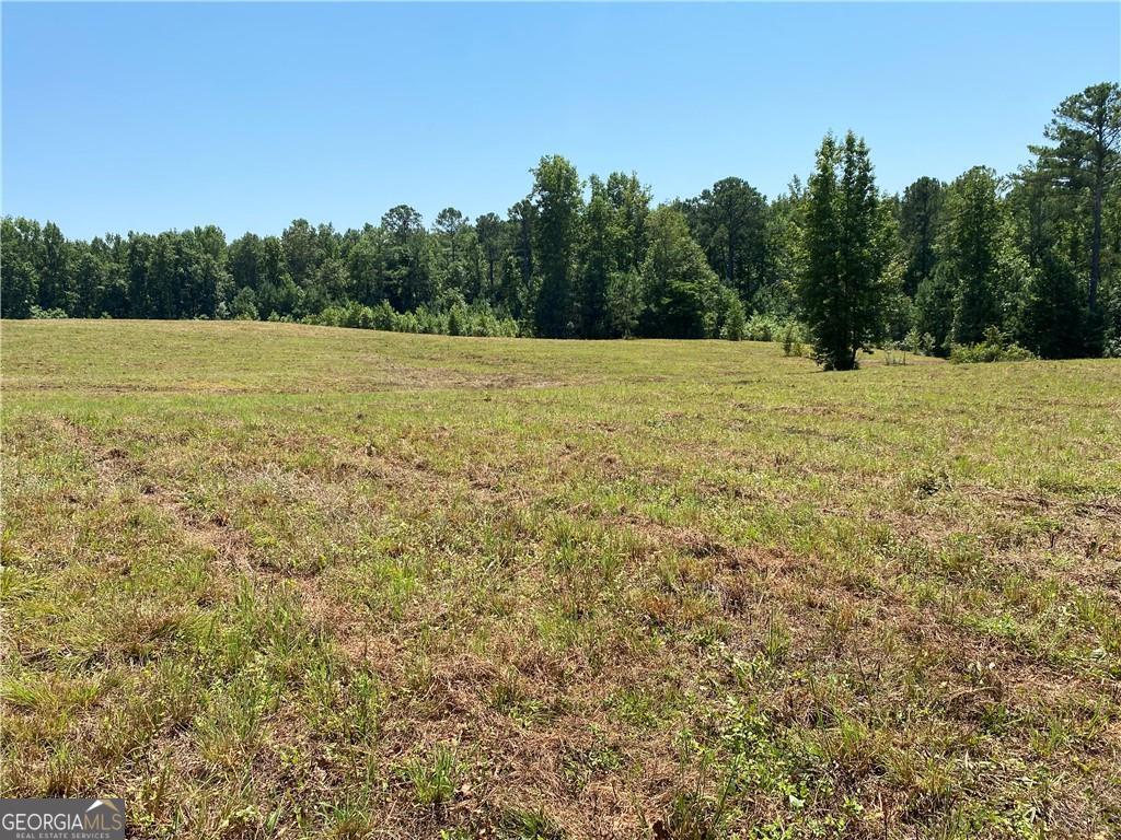 0 Pleasant Valley Road South Talking Rock, GA 30175 - Photo 1 of 1 Gallery Image 1