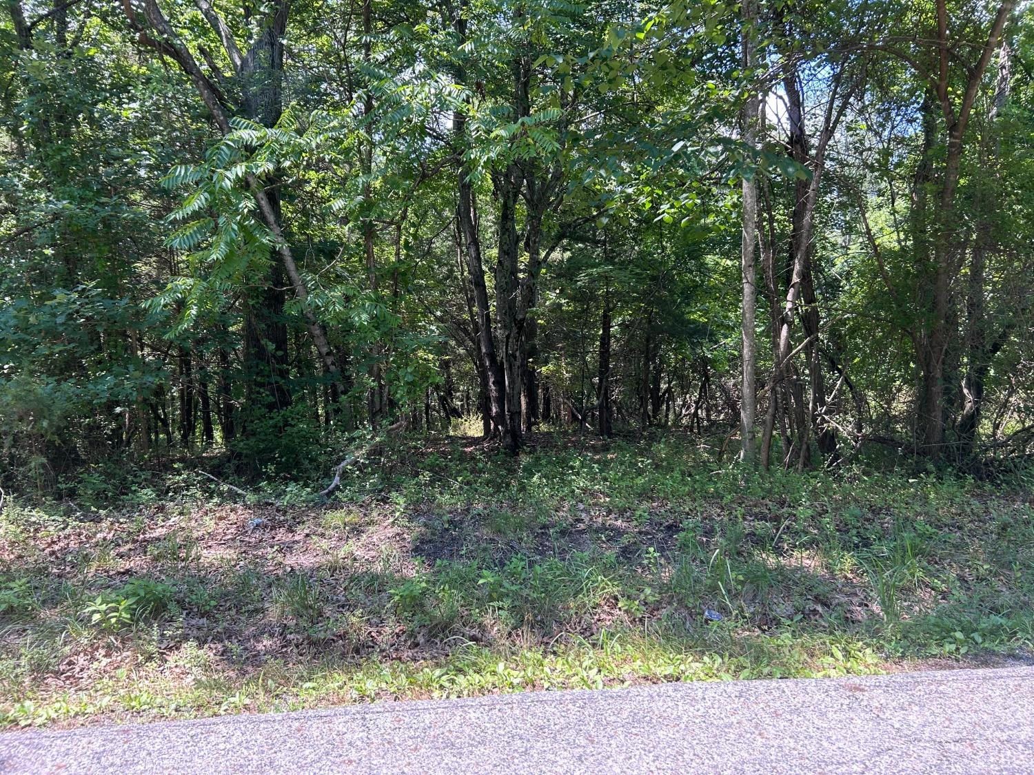 0 Poor House Farm Road Amherst, VA 24521 - Photo 2 of 8 a view of outdoor space and trees