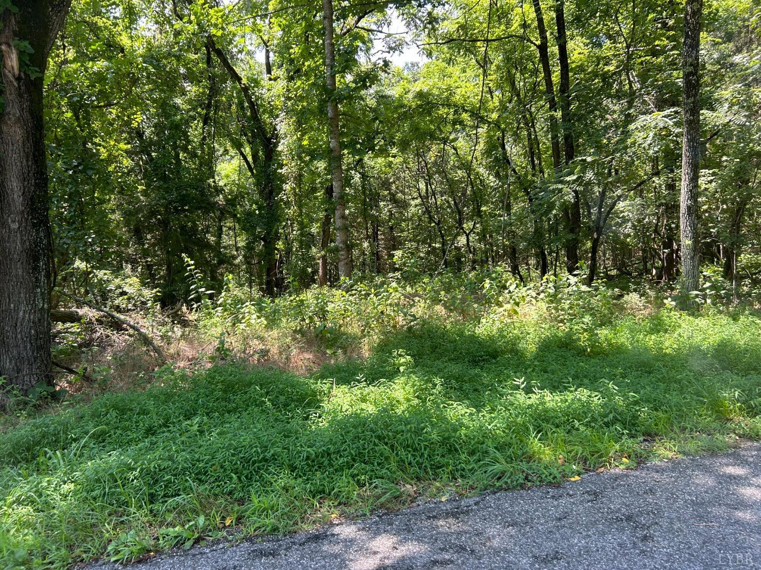 0 Poor House Farm Road Amherst, VA 24521 - Photo 3 of 8 a view of a lush green forest