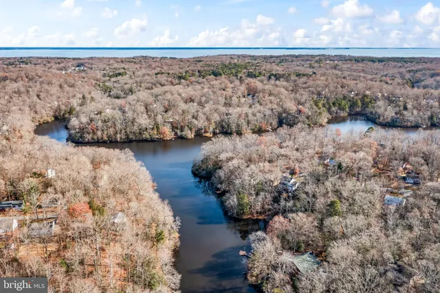 a view of ocean with trees