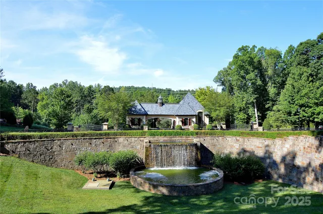 a view of a yard with a large tree
