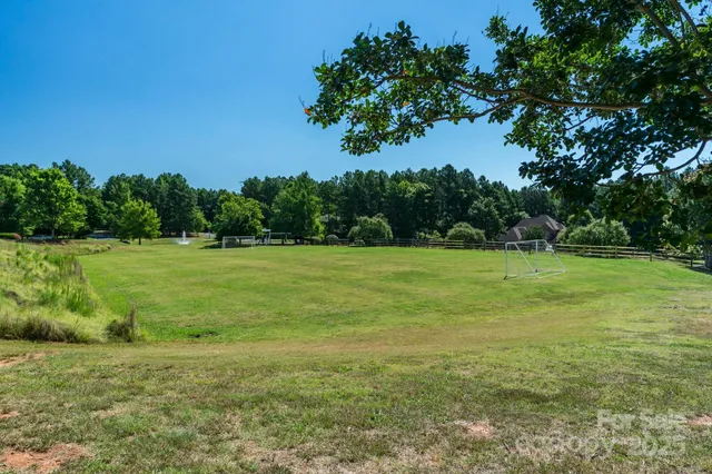 a view of a park with large trees