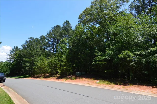 a view of a yard with a tree