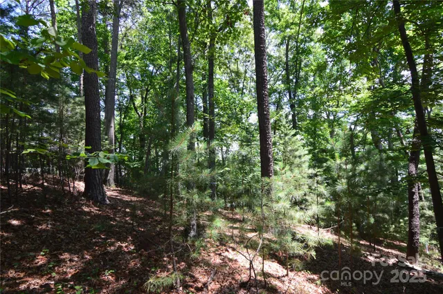 a view of outdoor space and trees