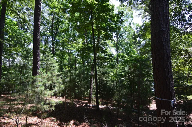 a view of a city with lush green forest