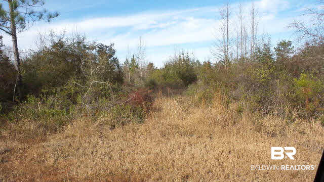 22 Ard Field Road Jay, FL 32565 - Photo 5 of 30