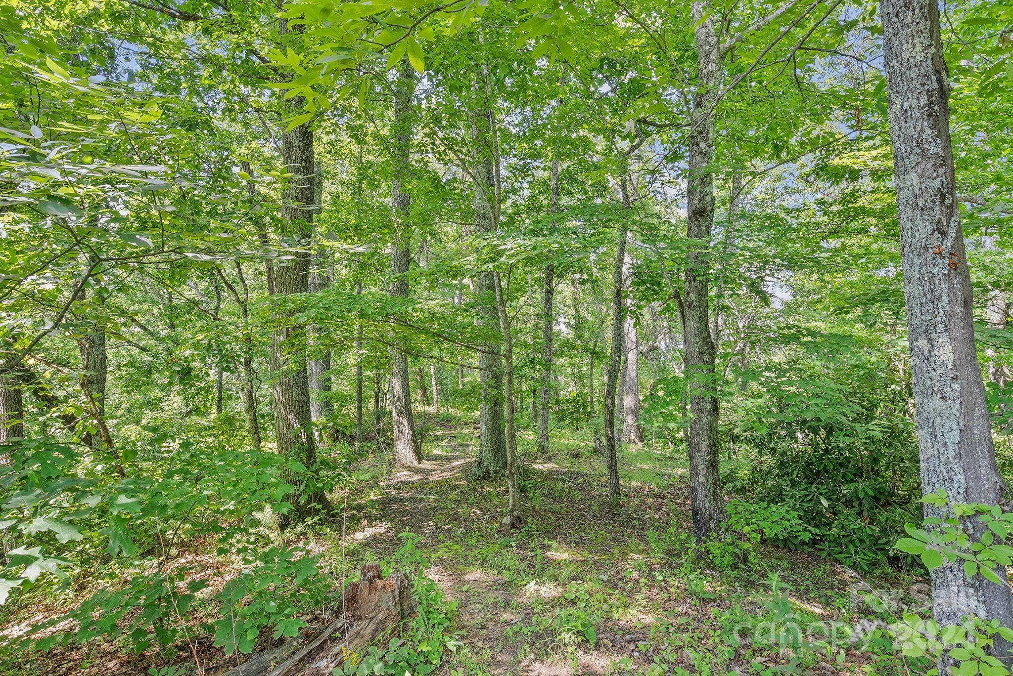 1288 Honeycutt Road Marion, NC 28752 - Photo 41 of 45 Gallery Image 41