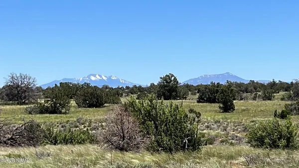 $99,999 | 5614 North Alta Villa Road, Williams, AZ 86046
