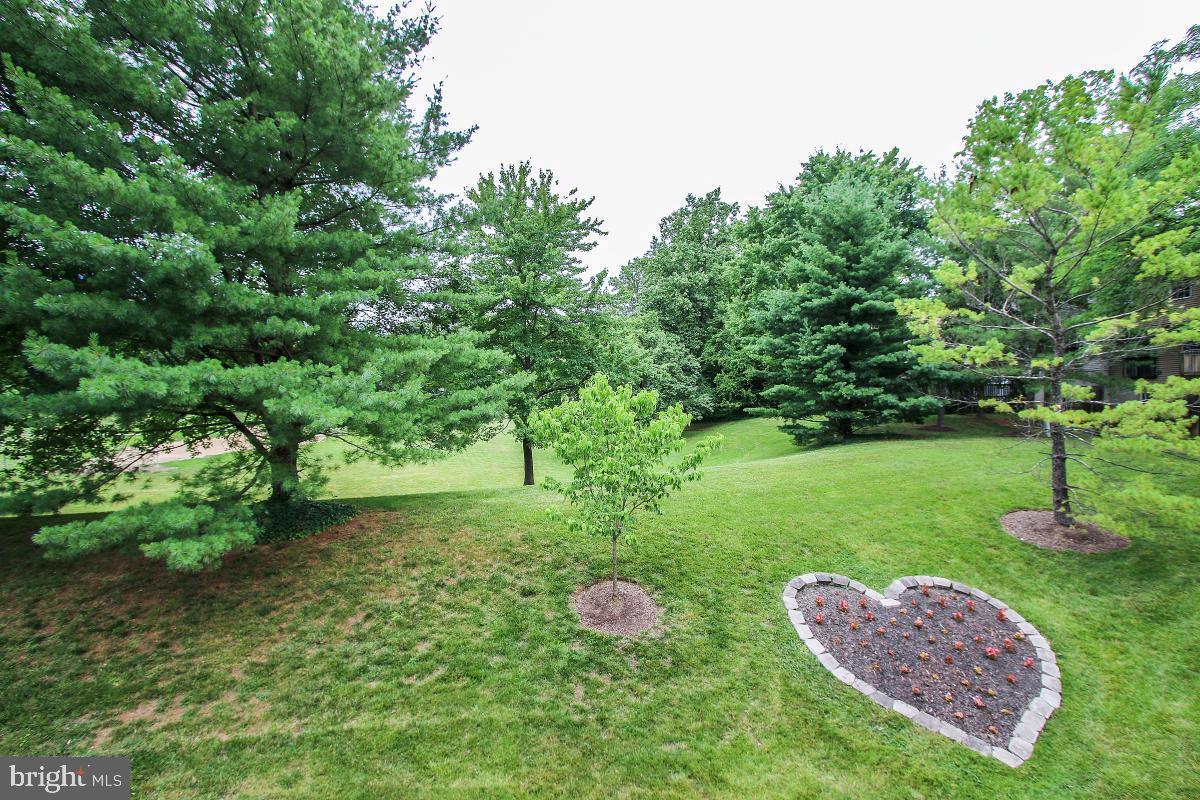 9068 Pickwick Village Terrace Silver Spring, MD 20901 - Photo 17 of 29