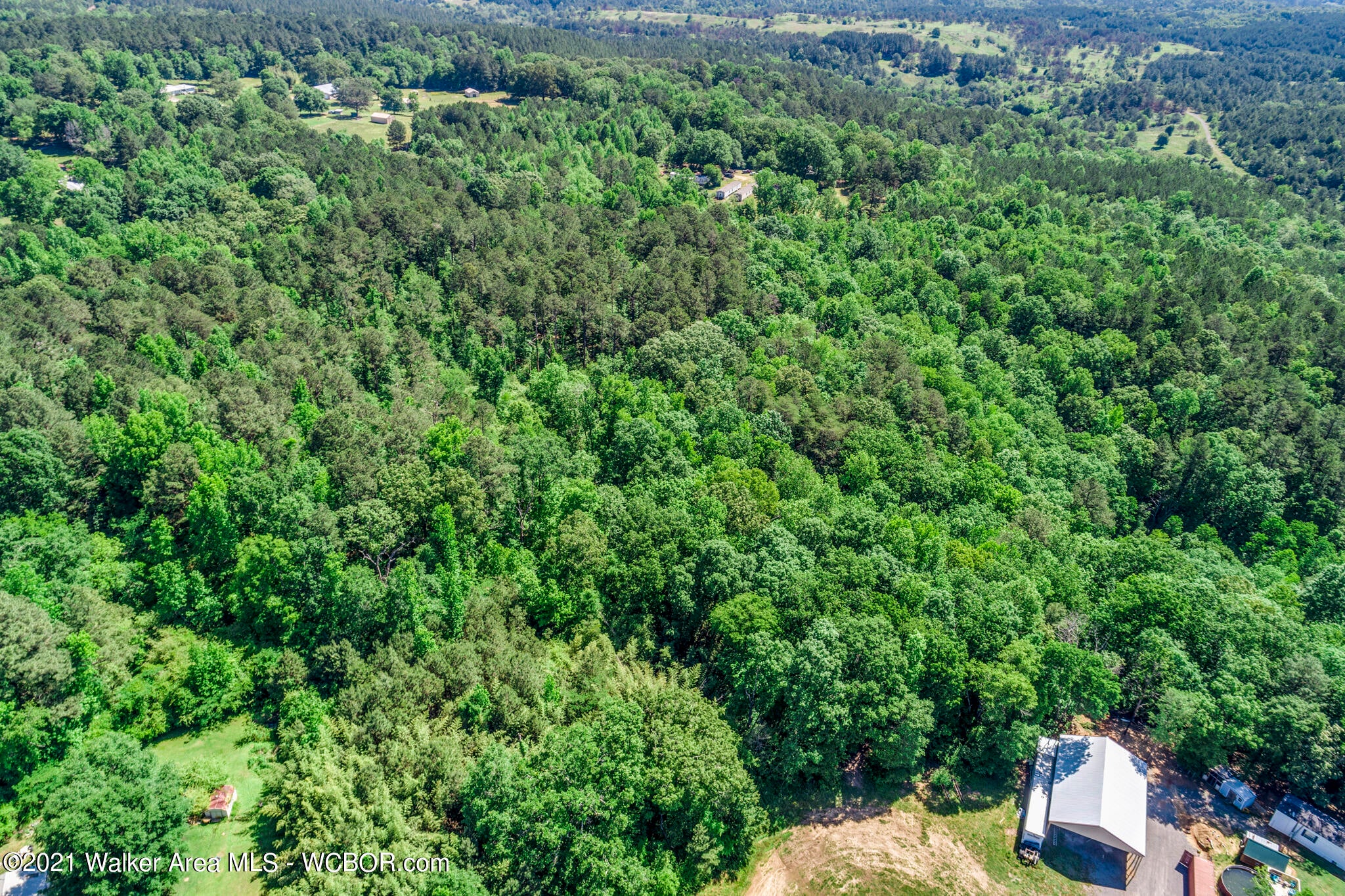 1610 Hull Road Sumiton, AL 35148 - Photo 2 of 3 Gallery Image 2