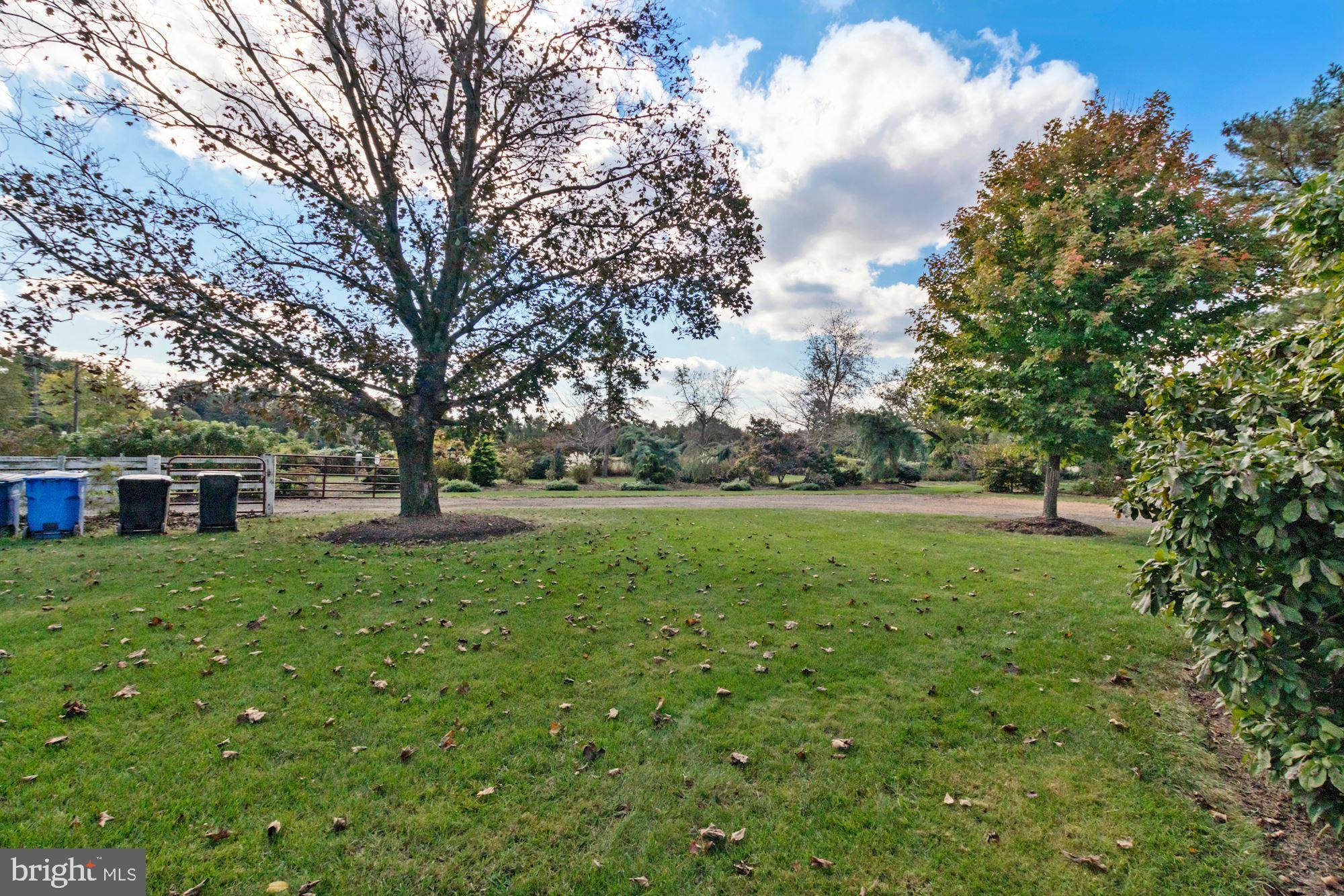 87 Eayrestown Road Medford, NJ 08055 - Photo 31 of 37 a view of backyard with large trees