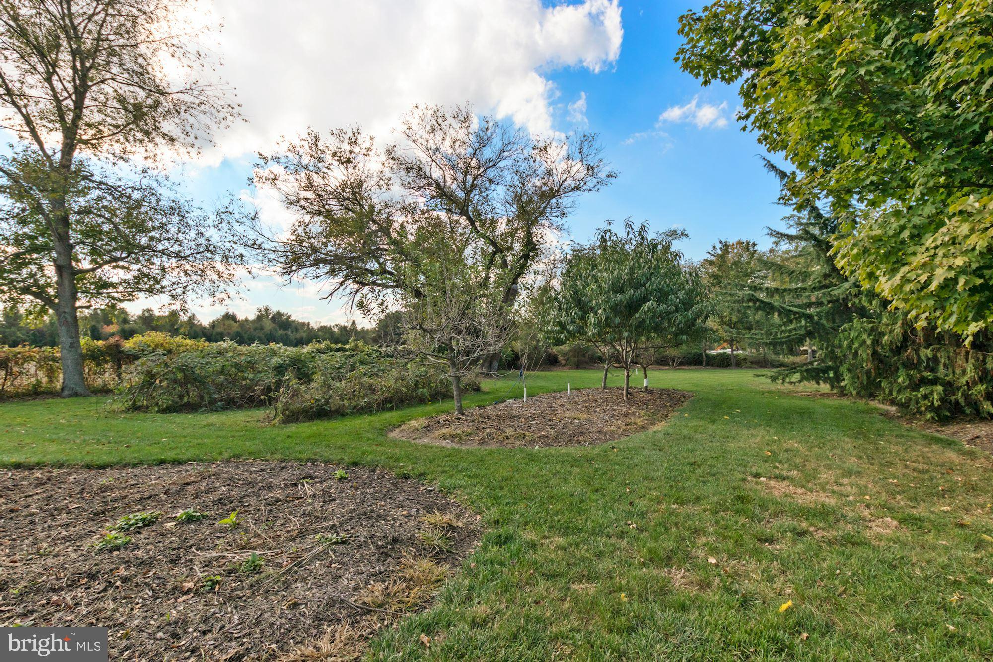 87 Eayrestown Road Medford, NJ 08055 - Photo 6 of 37 a view of a park