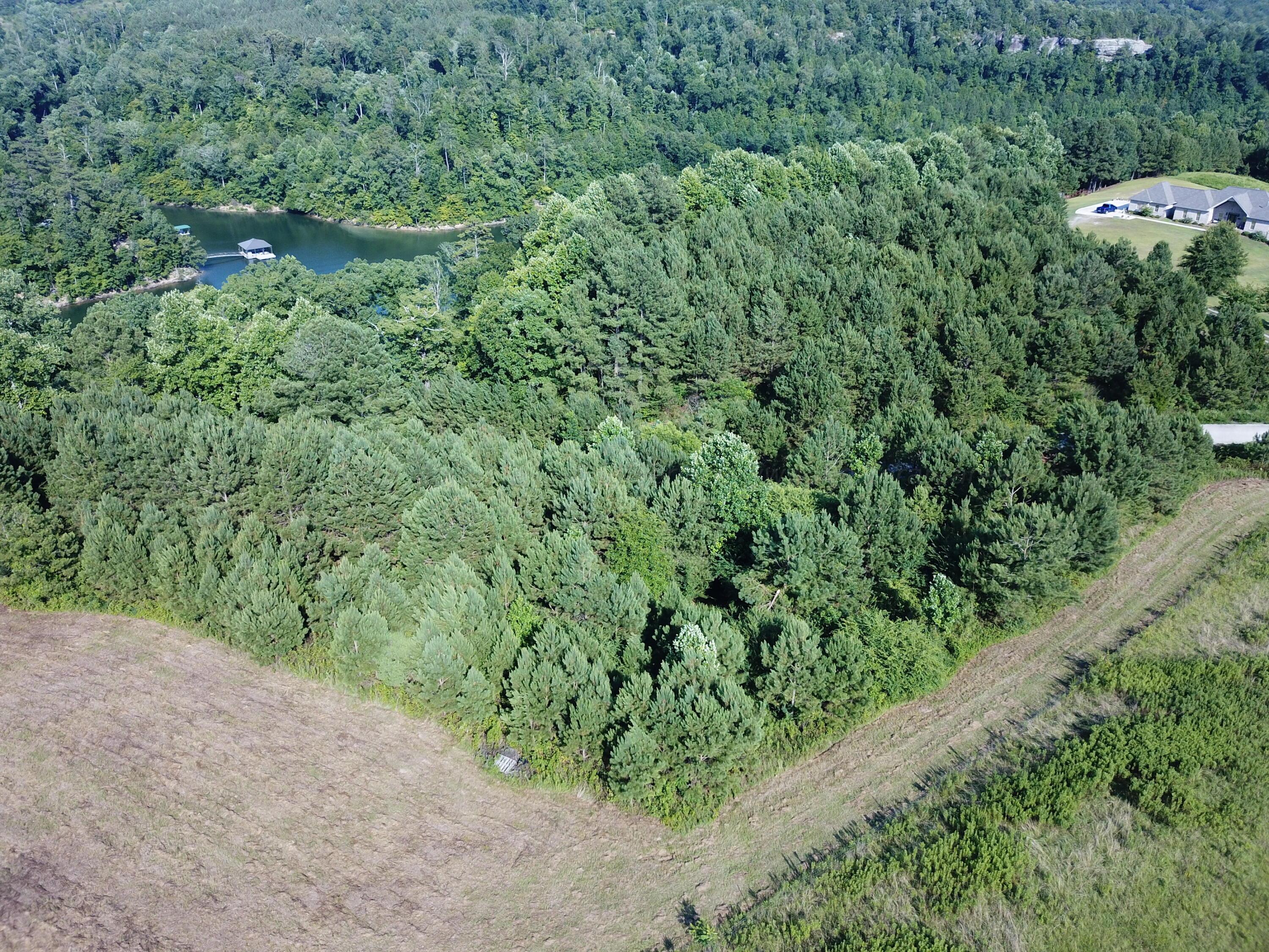 Lot 38-39 The Ridge Arley, AL 35540 - Photo 23 of 40 Gallery Image 23