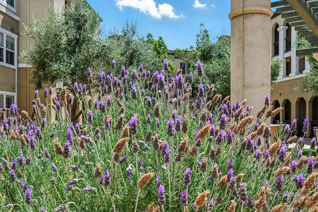 $946,000 | 1883 Agnew Road, Unit 367, Santa Clara, CA 95054