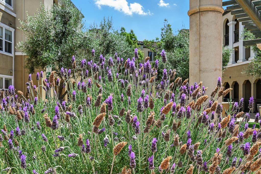 1883 Agnew Road, Unit 367 Santa Clara, CA 95054 - Photo 67 of 99