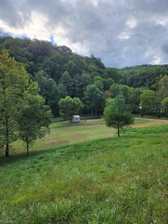 3205 Sheets Gap Road Millers Creek, NC 28651 - Photo 35 of 46
