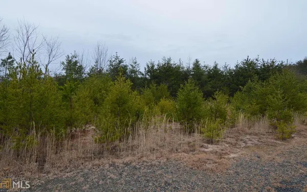 $30,000 | Lot 2 Preserve At Beach Mountain, Warne, NC 28909