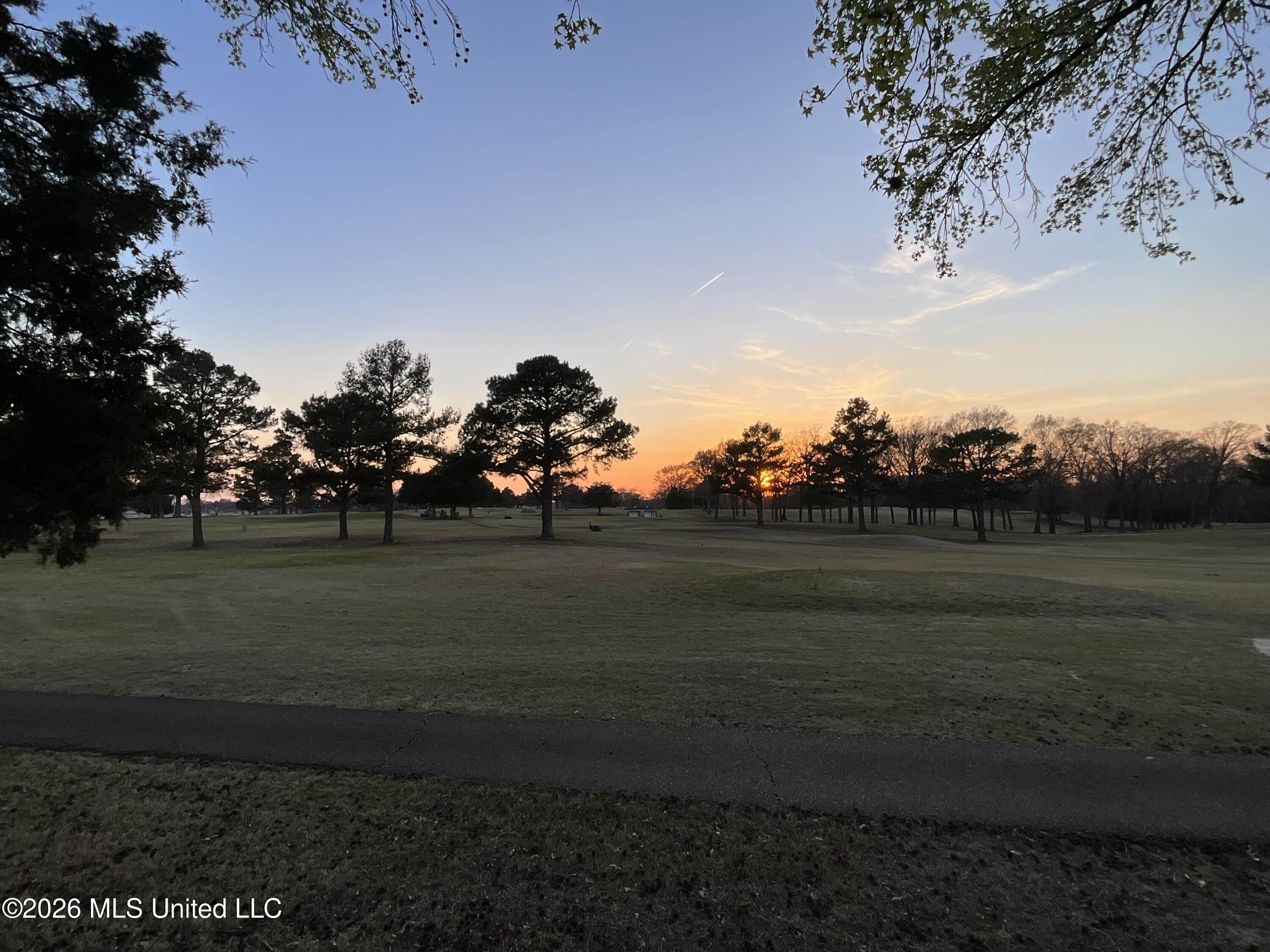 7741 Meadow Ridge Lane Olive Branch, MS 38654 - Photo 12 of 12 IMG_1268