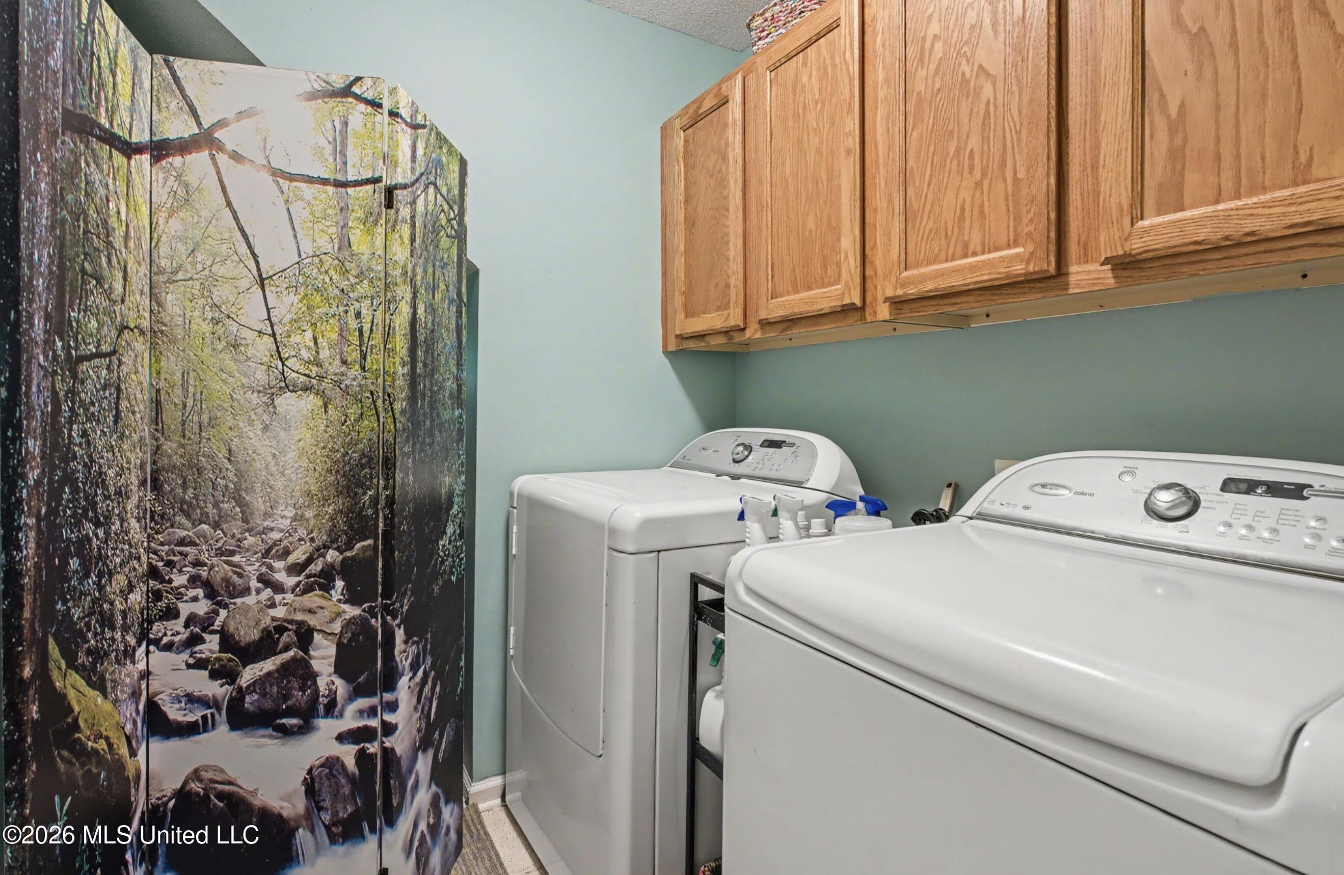 7741 Meadow Ridge Lane Olive Branch, MS 38654 - Photo 20 of 31 IMG_1308