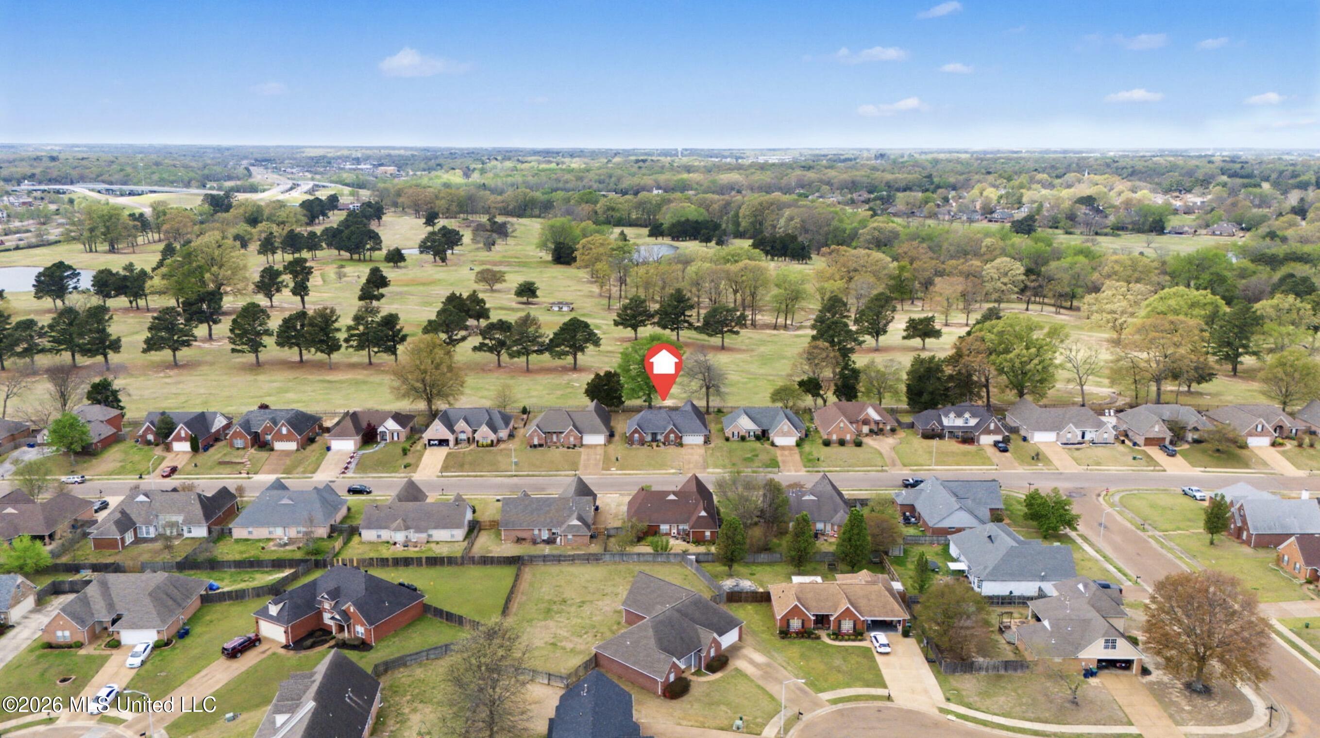 7741 Meadow Ridge Lane Olive Branch, MS 38654 - Photo 28 of 31 IMG_1316