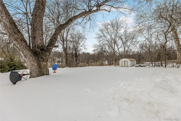 a view of a trees with a yard