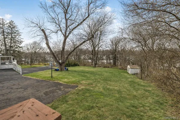 a view of a park with large trees