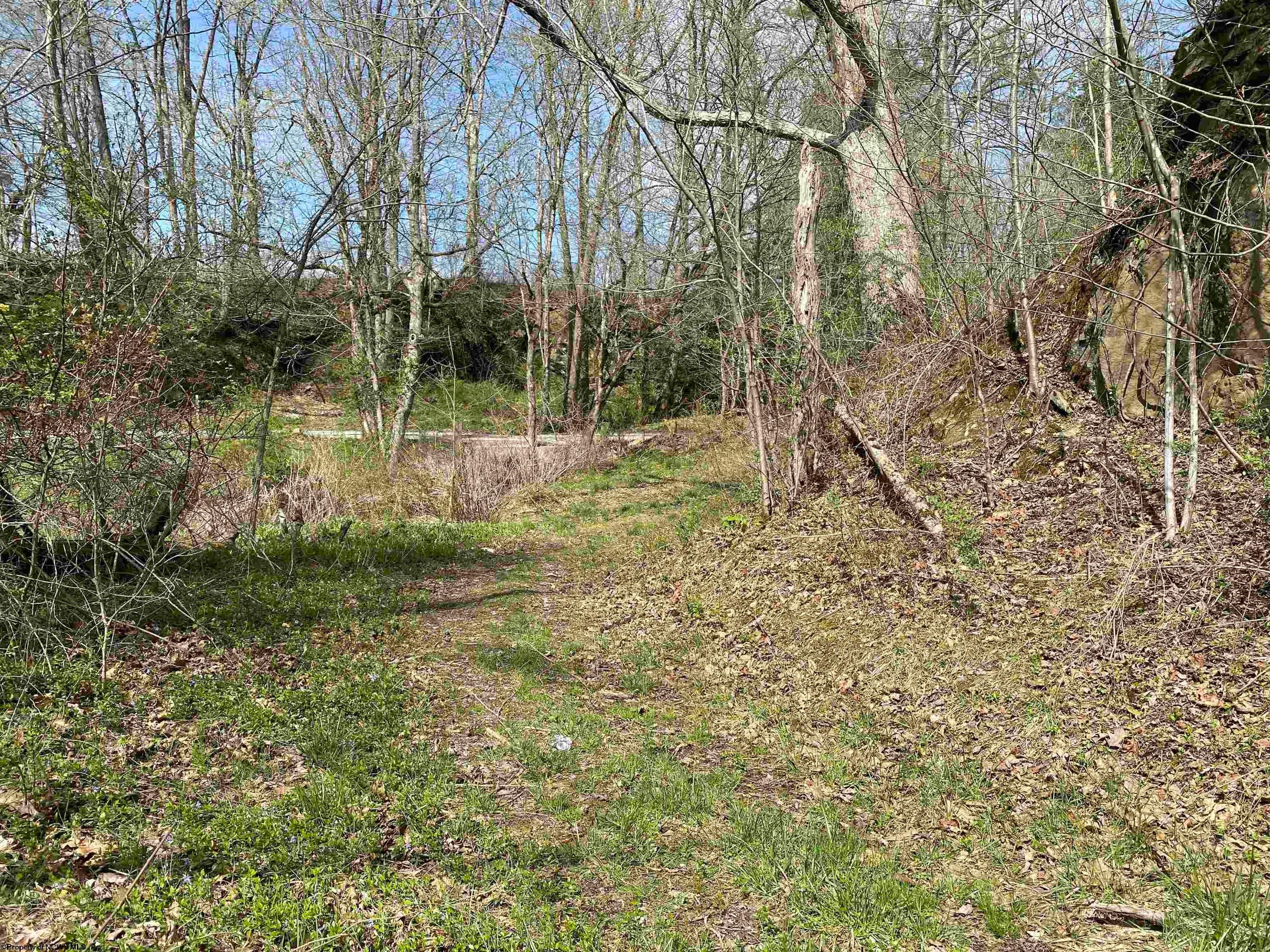 44 Poling Farm Road Clarksburg, WV 26301 - Photo 8 of 14 Gallery Image 8