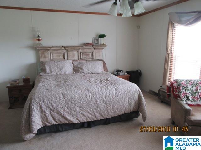 455 Francis Mill Road Ohatchee, AL 36271 - Photo 18 of 49
