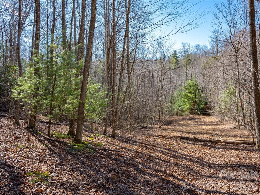 Tbd Long Branch Road Swannanoa, NC 28778 - Photo 10 of 18