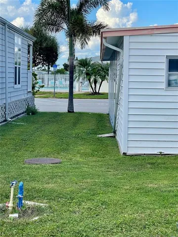 a view of a backyard and a tree