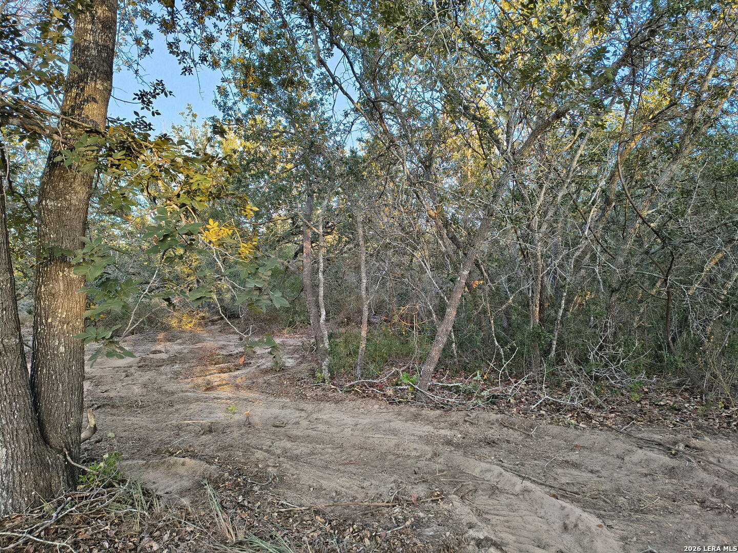 0 Priest Road Elmendorf, TX 78112 - Photo 7 of 11 Gallery Image 7