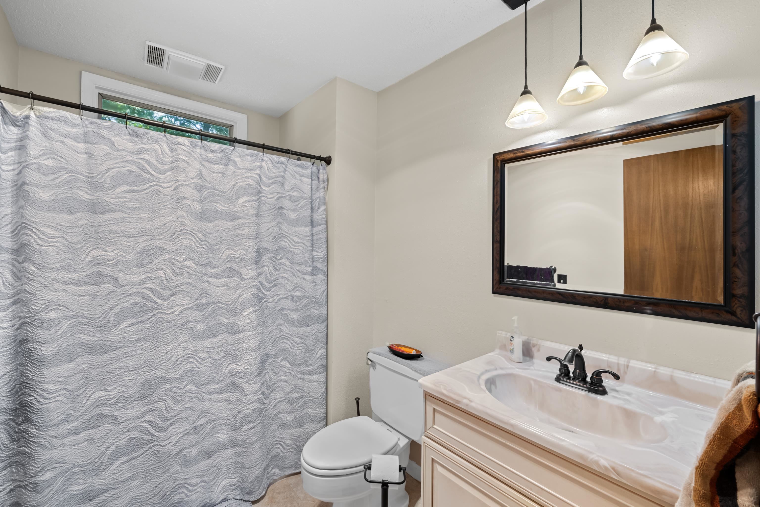 2059 Old Greenville Road Staunton, VA 24401 - Photo 31 of 60 a bathroom with a sink a toilet a mirror and shower curtain