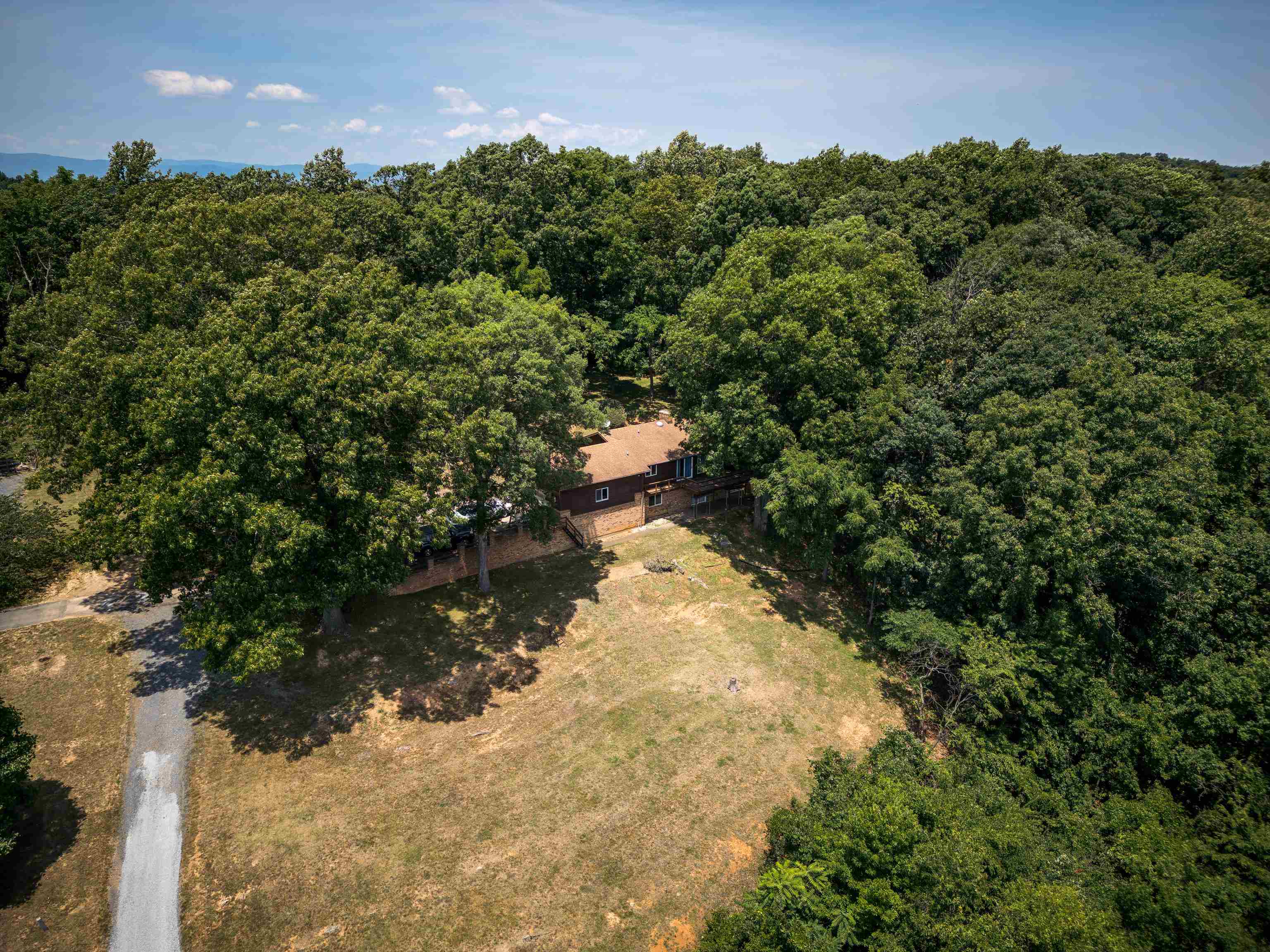 2059 Old Greenville Road Staunton, VA 24401 - Photo 54 of 60 a view of a yard with plants