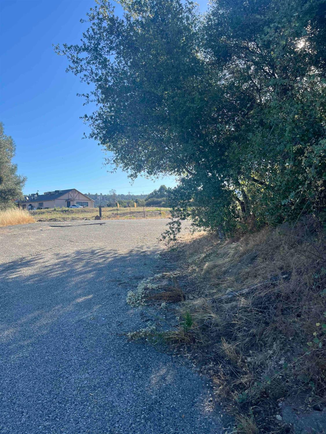 45990 Hawk Lane Coarsegold, CA 93614 - Photo 4 of 24