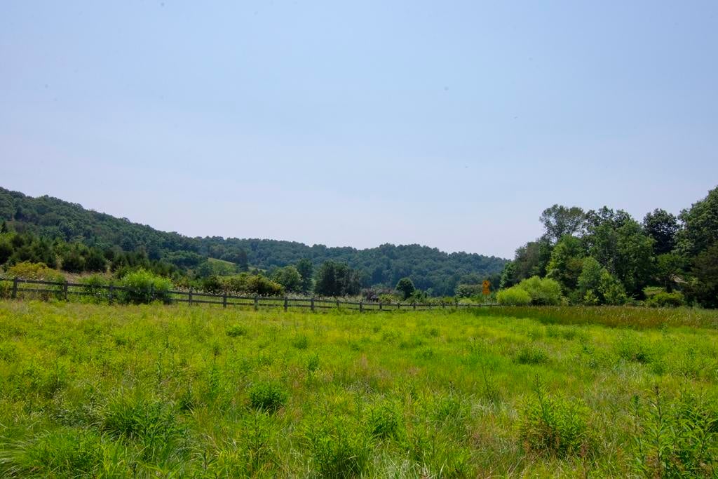 35 Co Route Forest Hill, WV 24935 - Photo 108 of 151 Gallery Image 108