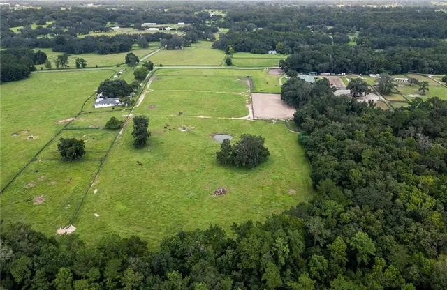 an aerial view of a residential houses with outdoor space and trees