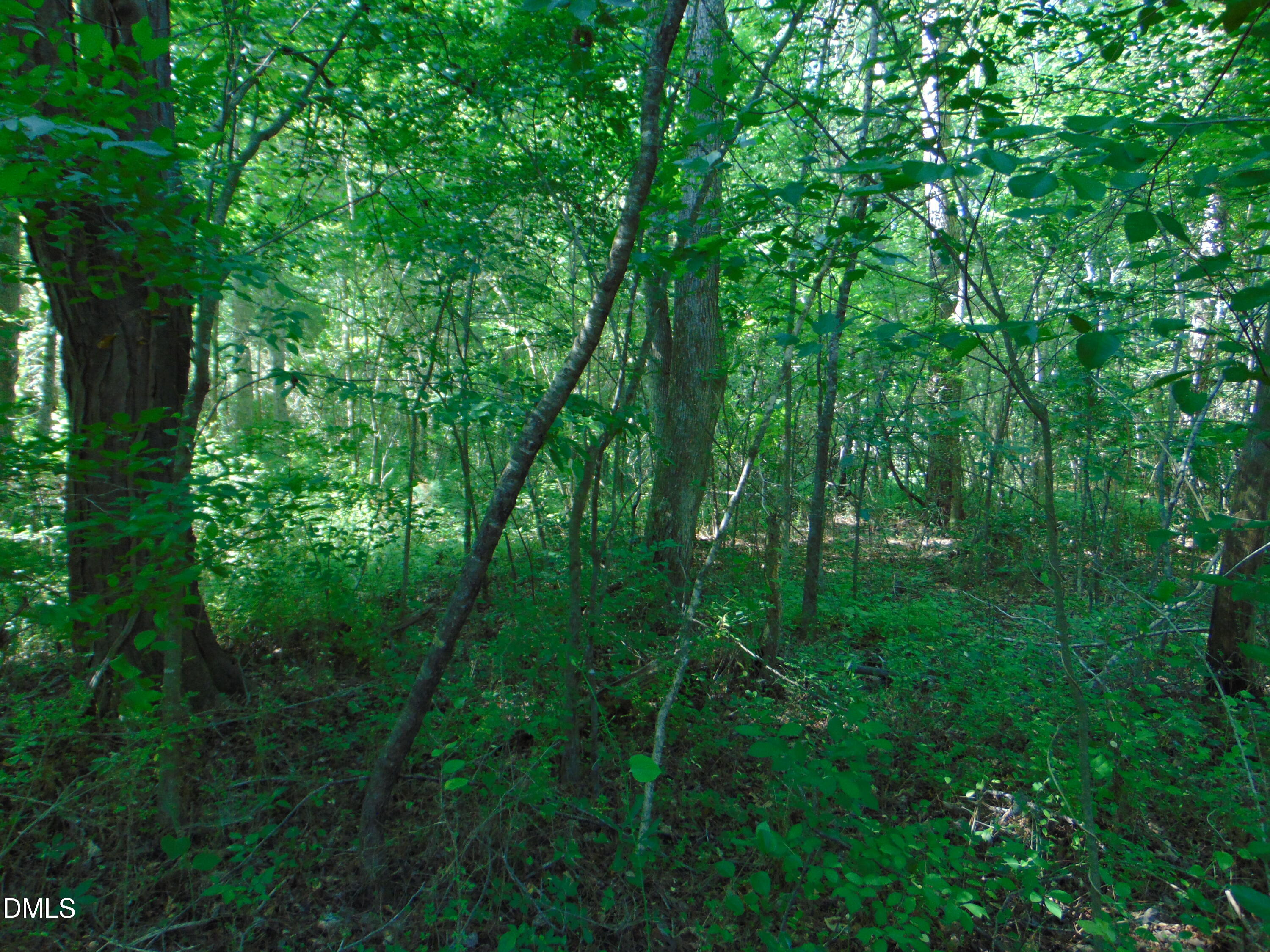 0 Big Woods Road Macon, NC 27551 - Photo 26 of 28