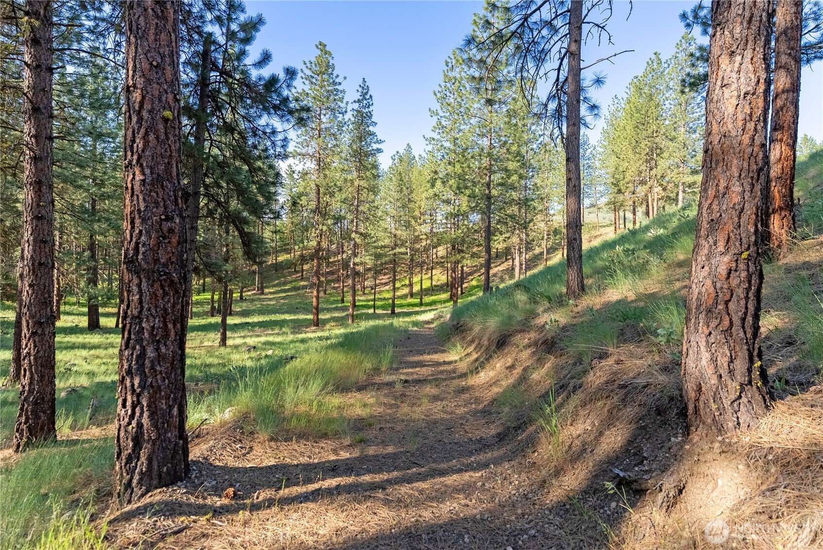 11 Appaloosa Road Winthrop, WA 98862 - Photo 36 of 39 Gallery Image 36