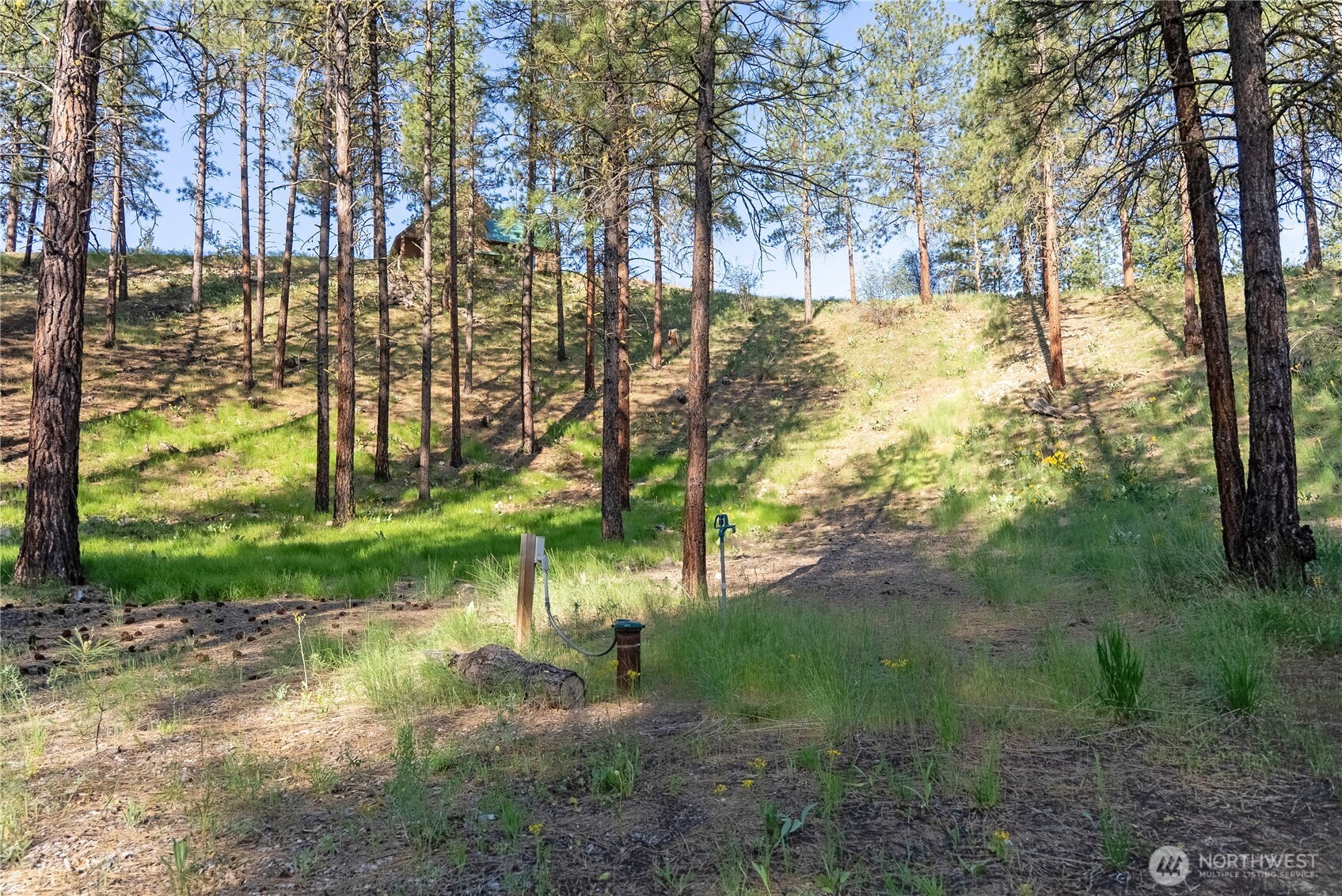 11 Appaloosa Road Winthrop, WA 98862 - Photo 37 of 39 Gallery Image 37