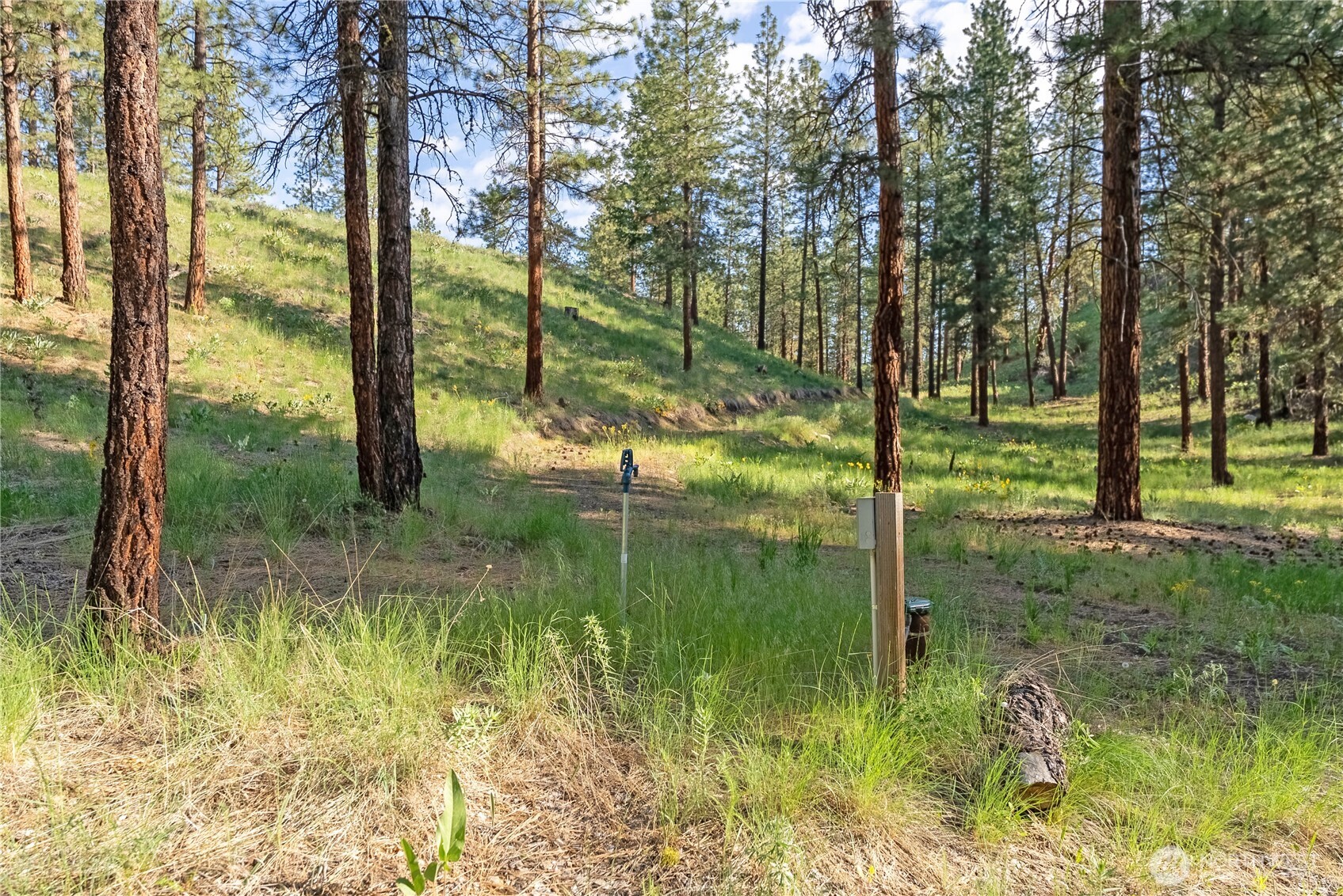 11 Appaloosa Road Winthrop, WA 98862 - Photo 38 of 39 Gallery Image 38