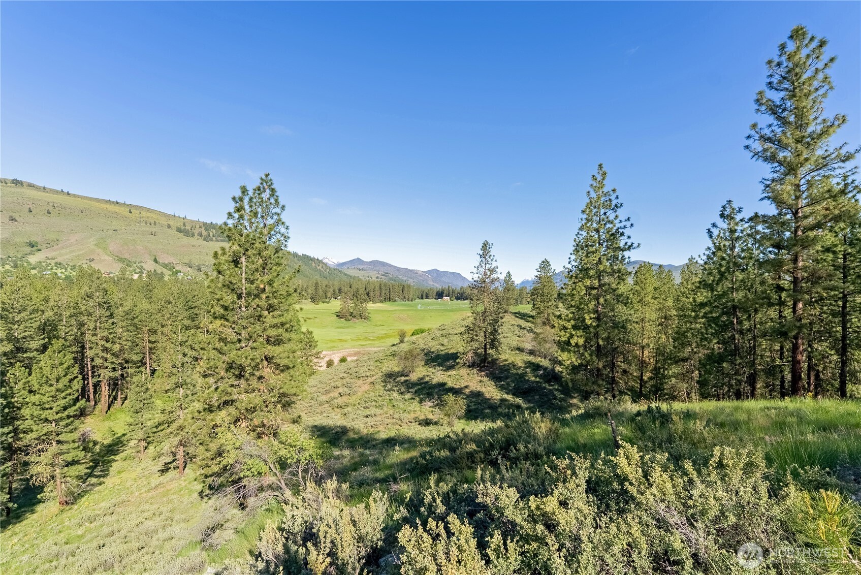 11 Appaloosa Road Winthrop, WA 98862 - Photo 39 of 39 Gallery Image 39