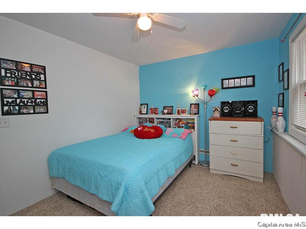 11087 Robin Lane Athens, IL 62613 - Photo 16 of 36 Gallery Image 16
