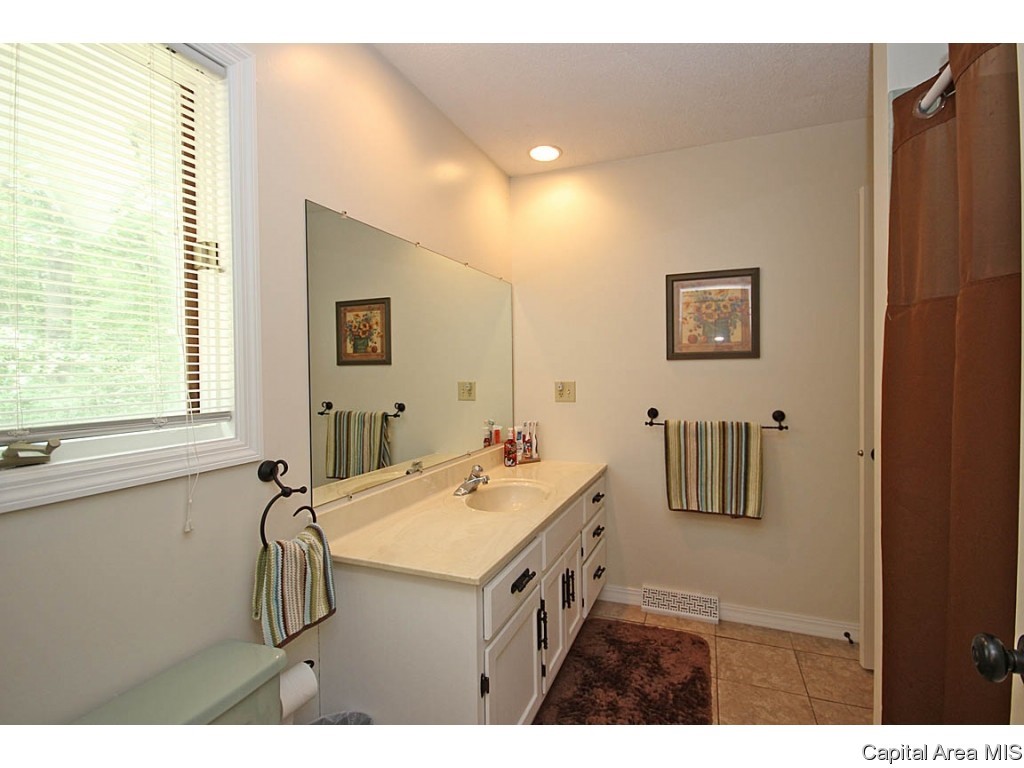 11087 Robin Lane Athens, IL 62613 - Photo 20 of 36 Gallery Image 20