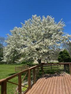 48 South Sashabaw Road Ortonville, MI 48462 - Photo 20 of 40 IMG_4162