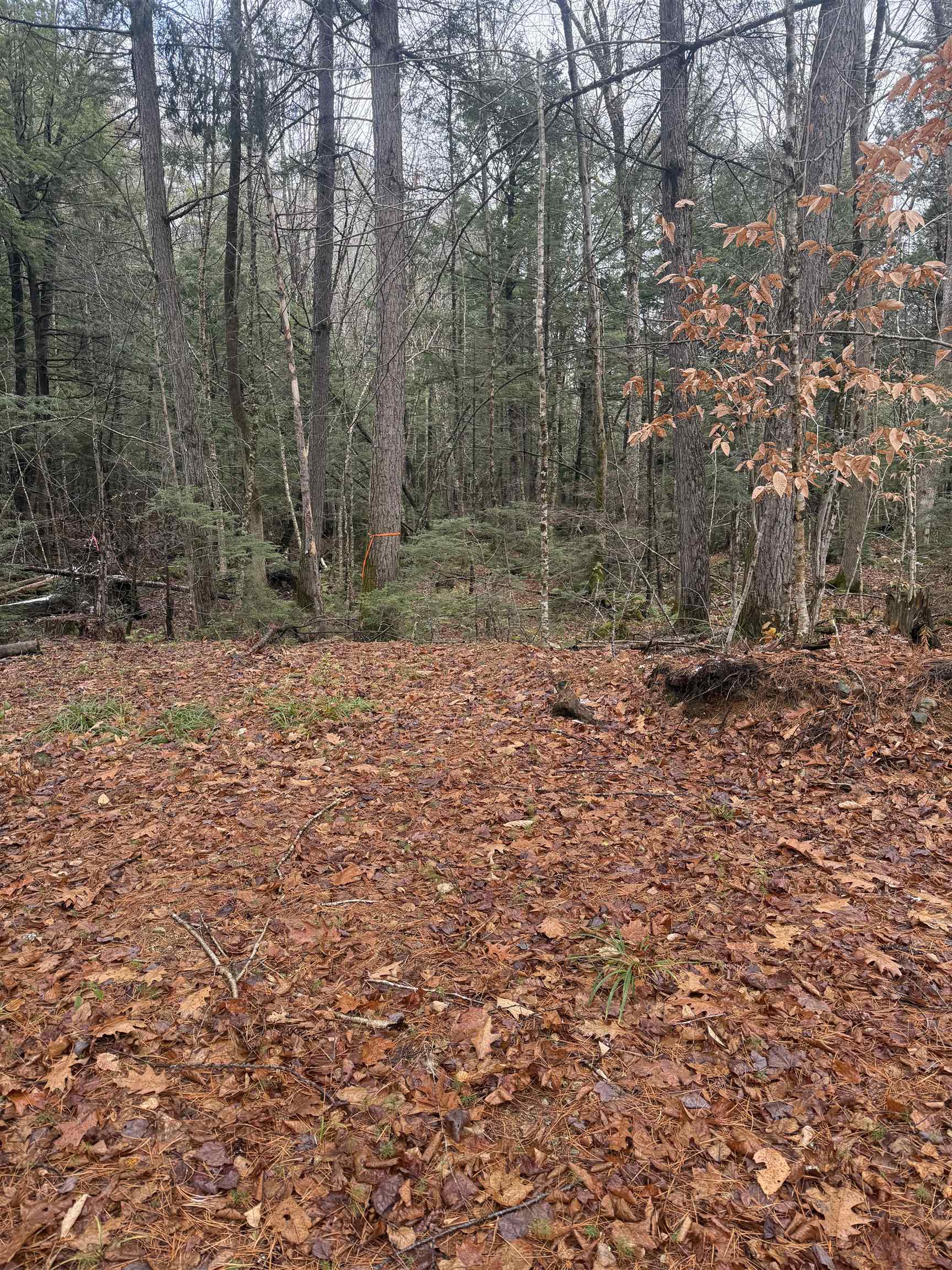 0 Partridge Hill Road, Unit 84 Sandwich, NH 03227 - Photo 1 of 6