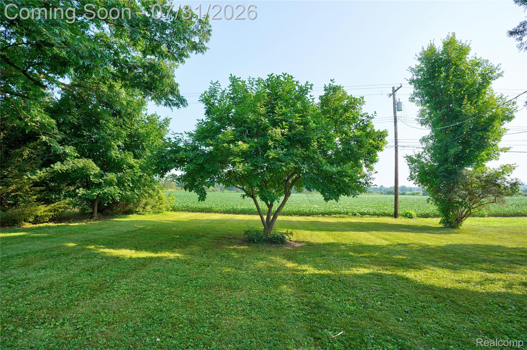 5271 West Main Street Dryden, MI 48428 - Photo 6 of 34 Expansive lawn area featuring mature trees and a distant field backdrop