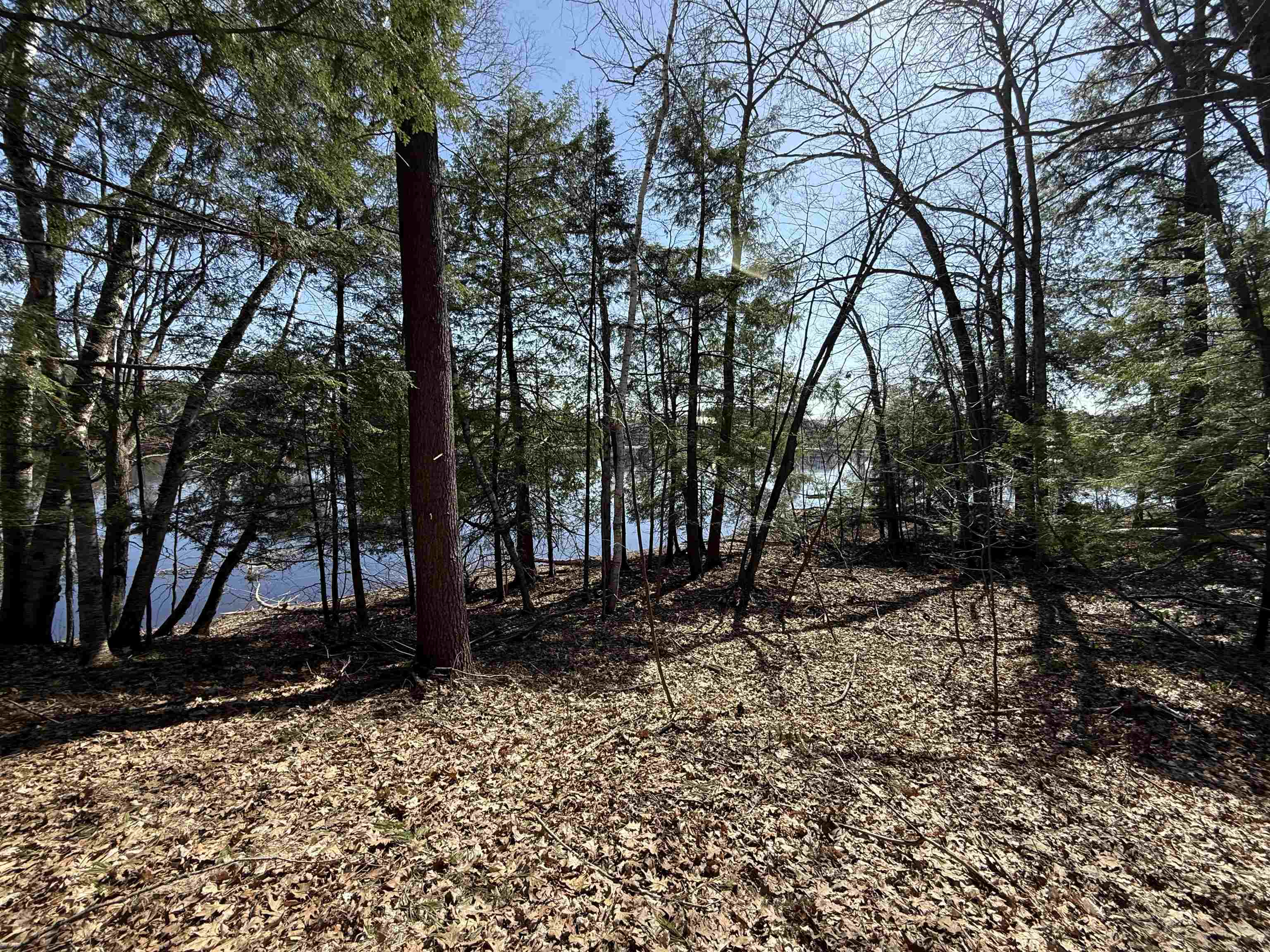 South Forest Haven Road Shawano, WI 54166 - Photo 3 of 5