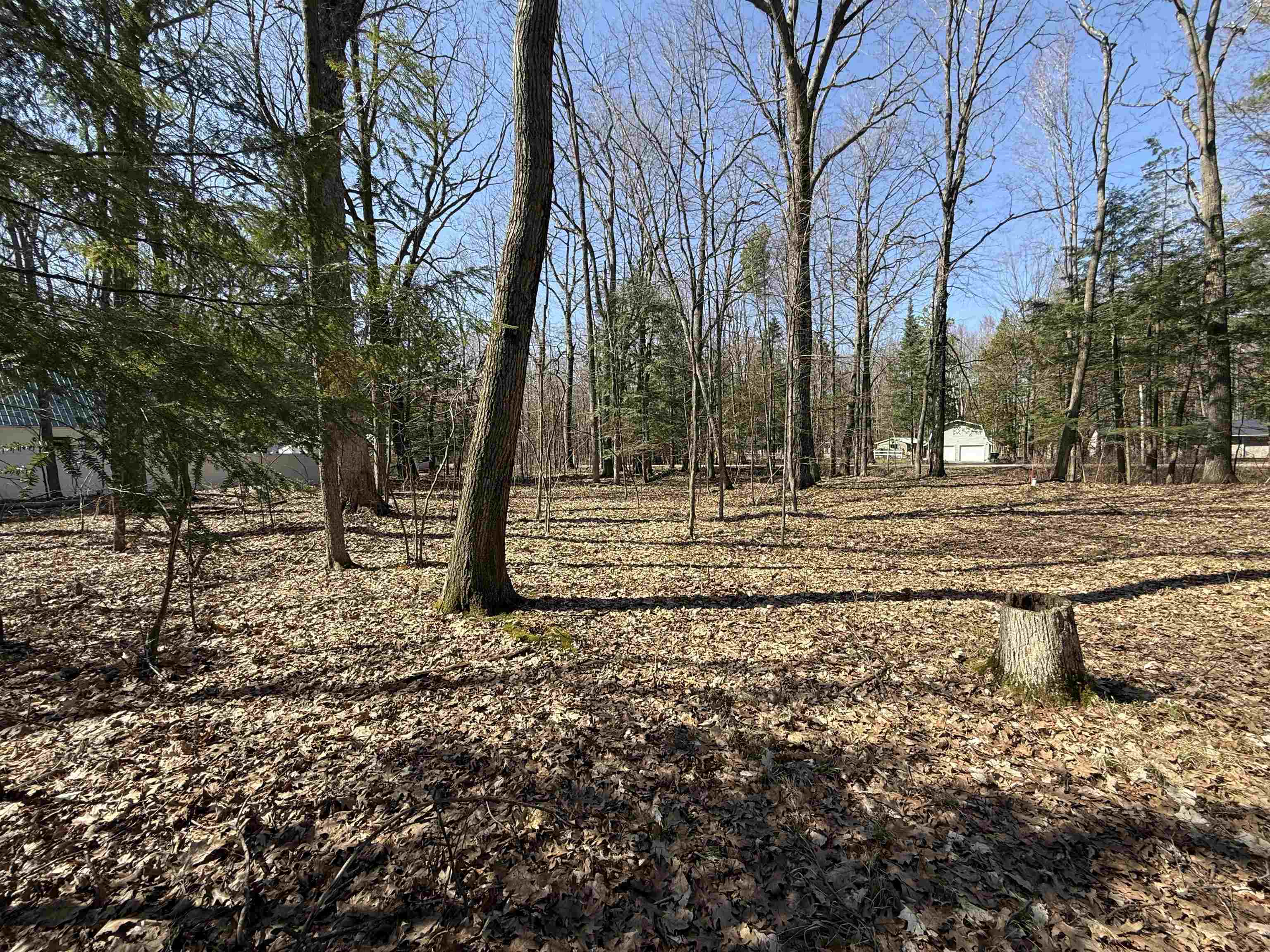 South Forest Haven Road Shawano, WI 54166 - Photo 4 of 5